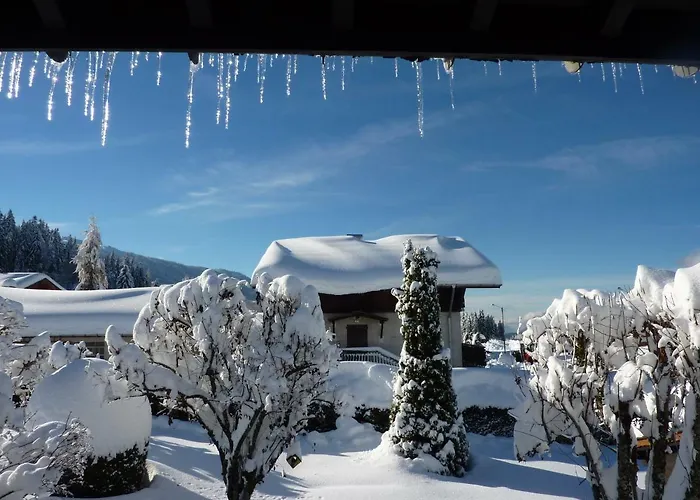 Le Starfu شقة كري فولا